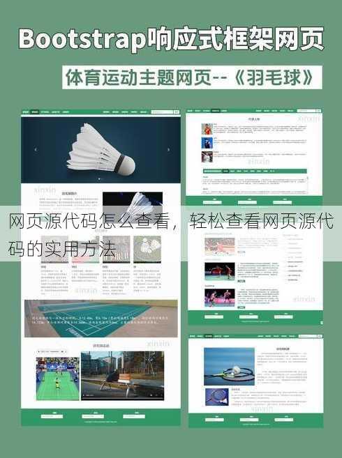 网页源代码怎么查看
