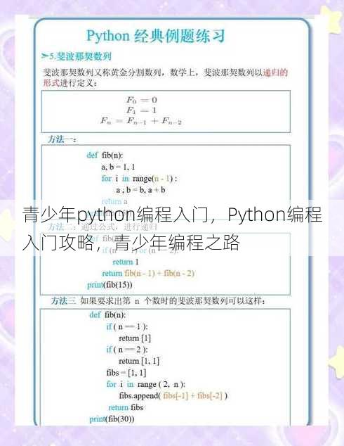 青少年python编程入门