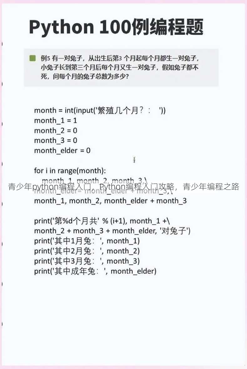 青少年python编程入门