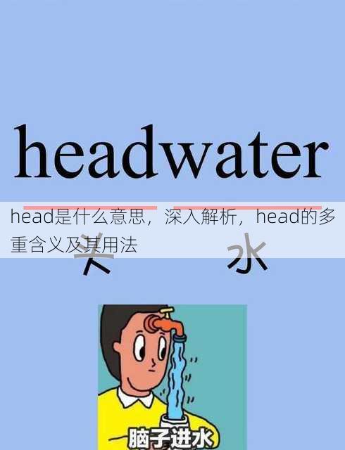 head是什么意思