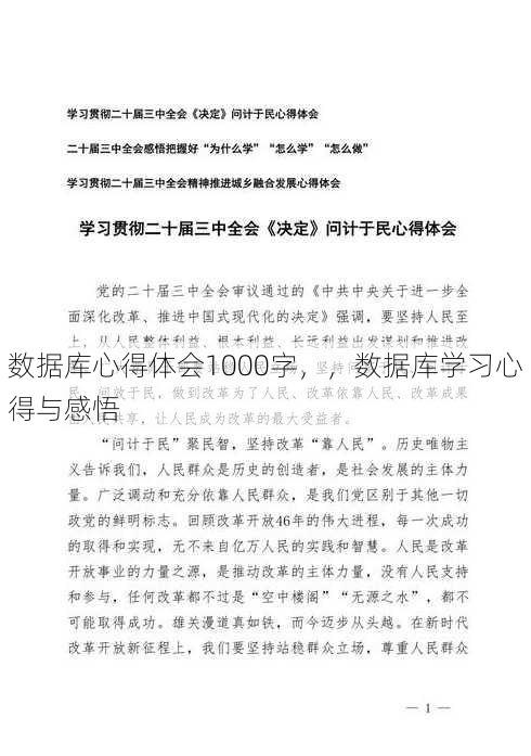 数据库心得体会1000字