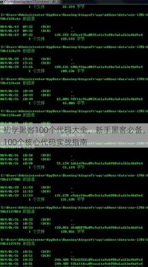 初学黑客100个代码大全