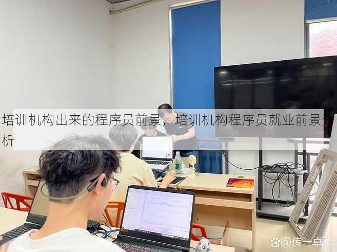 培训机构出来的程序员前景