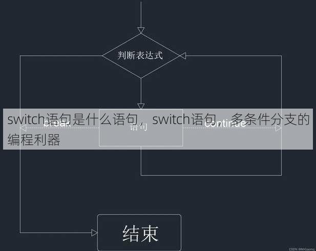 switch语句是什么语句
