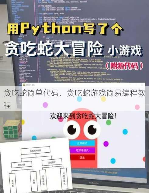 贪吃蛇简单代码
