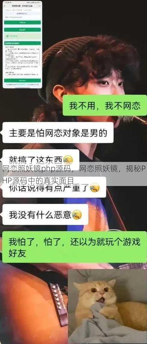 网恋照妖镜php源码