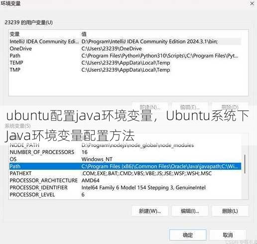 ubuntu配置java环境变量