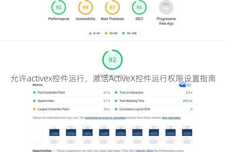 允许activex控件运行