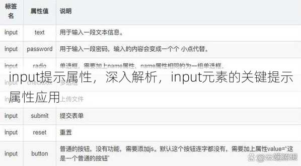 input提示属性