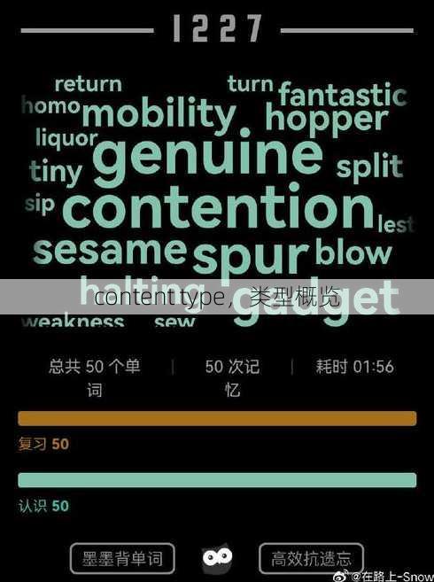 content type