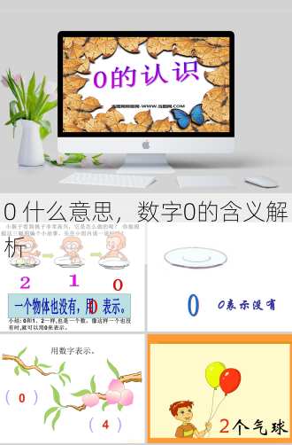 0 什么意思
