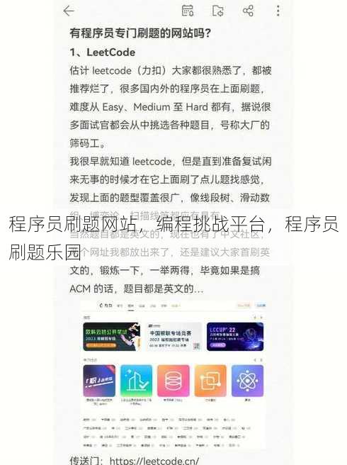 程序员刷题网站