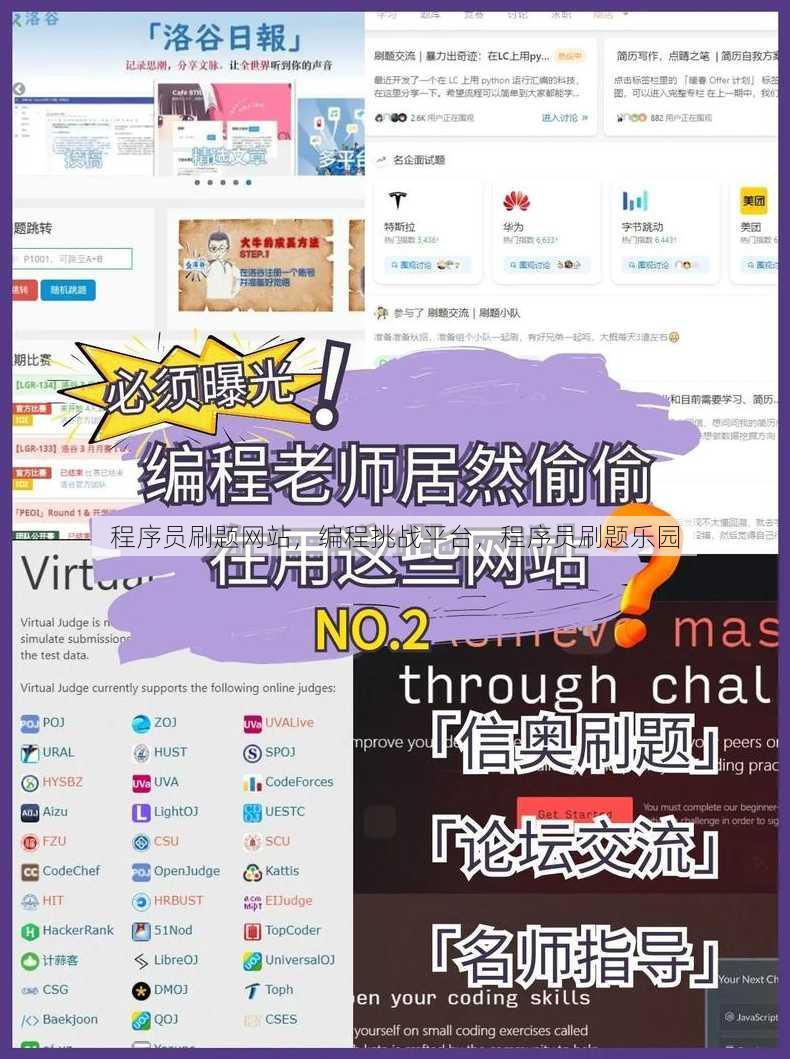 程序员刷题网站