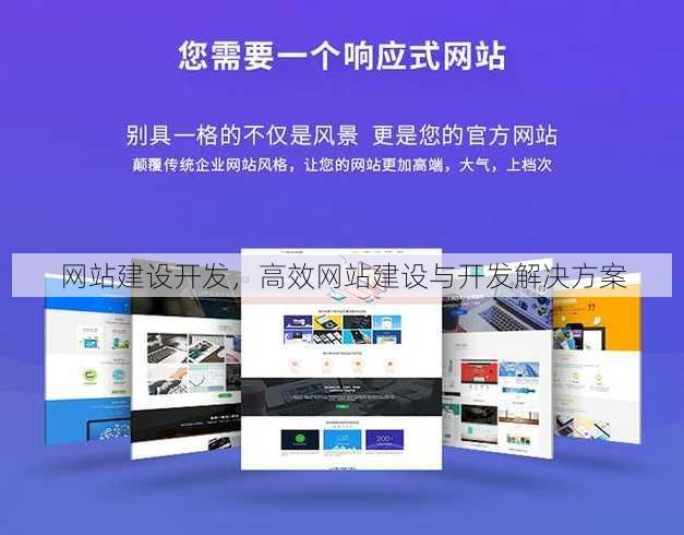 网站建设开发