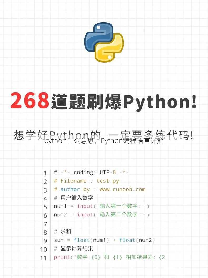 python什么意思