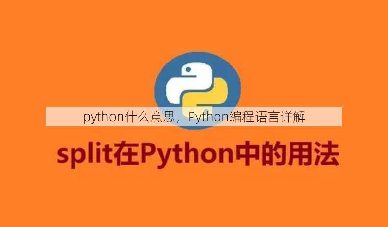 python什么意思