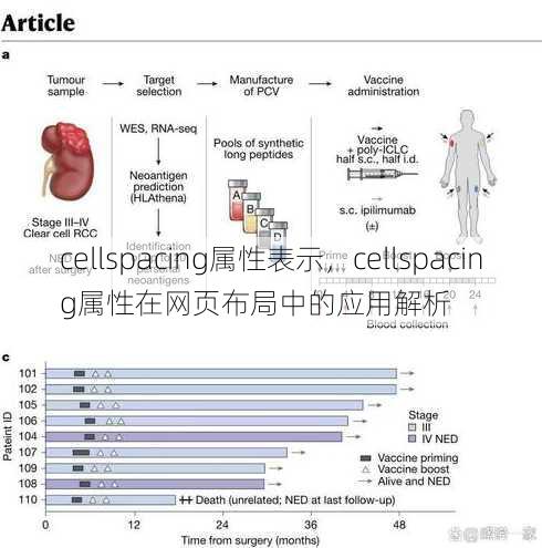 cellspacing属性表示