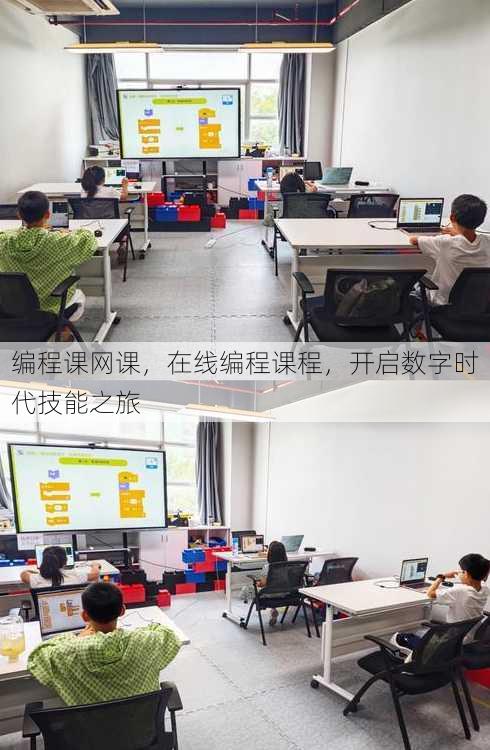 编程课网课