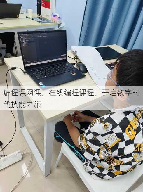 编程课网课