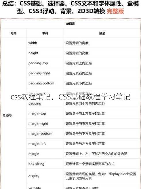 css教程笔记