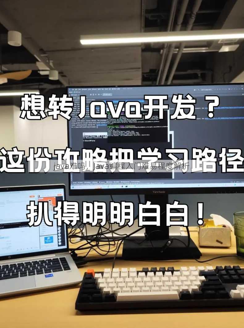 java难吗