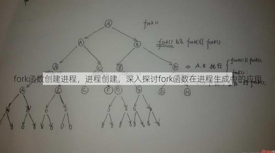 fork函数创建进程