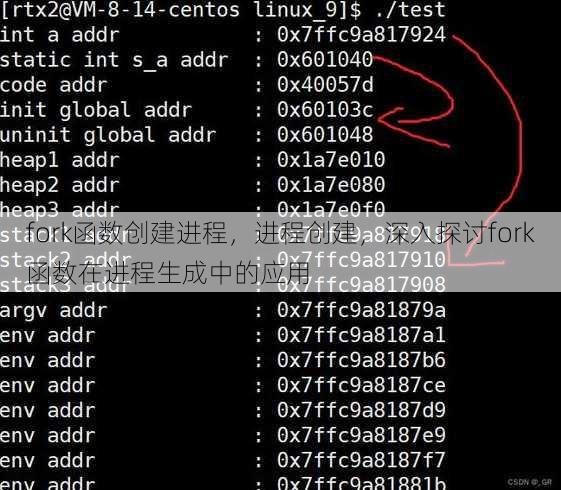 fork函数创建进程