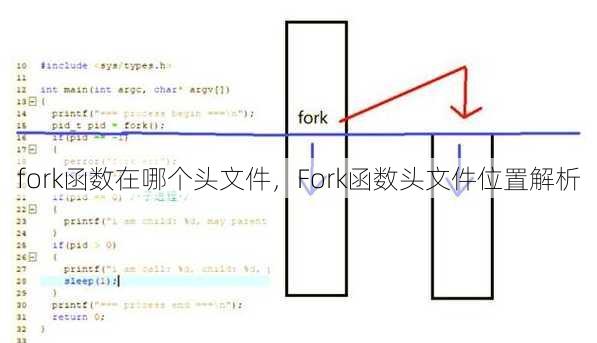 fork函数在哪个头文件