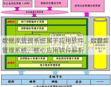 数据库管理系统属于应用软件