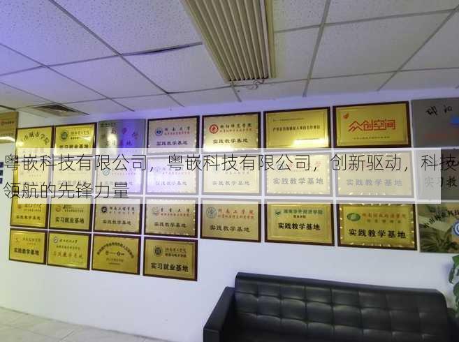 粤嵌科技有限公司