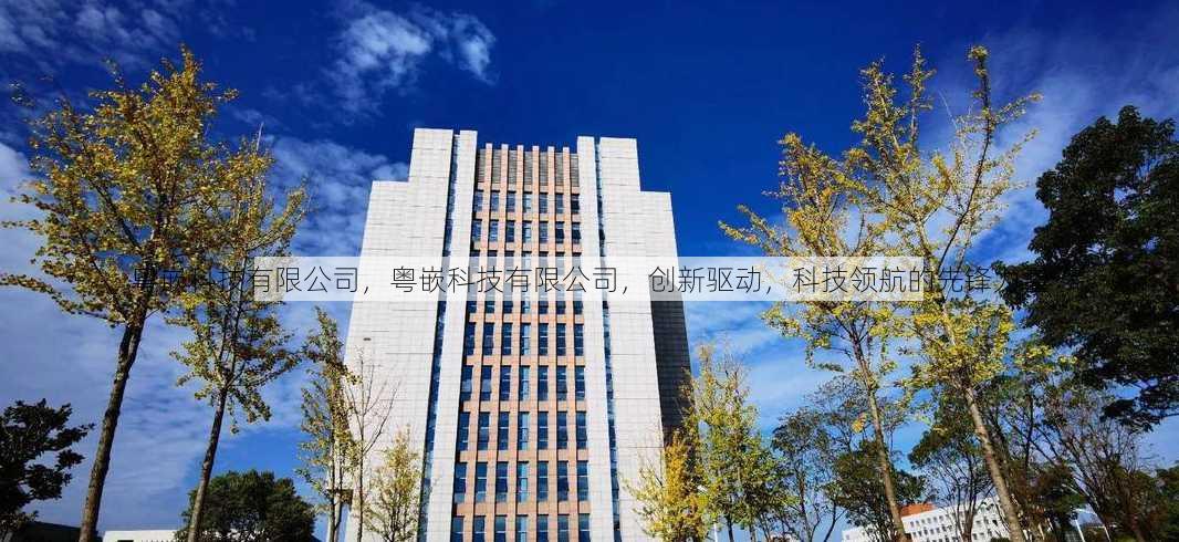 粤嵌科技有限公司