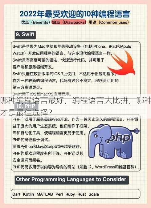 哪种编程语言最好
