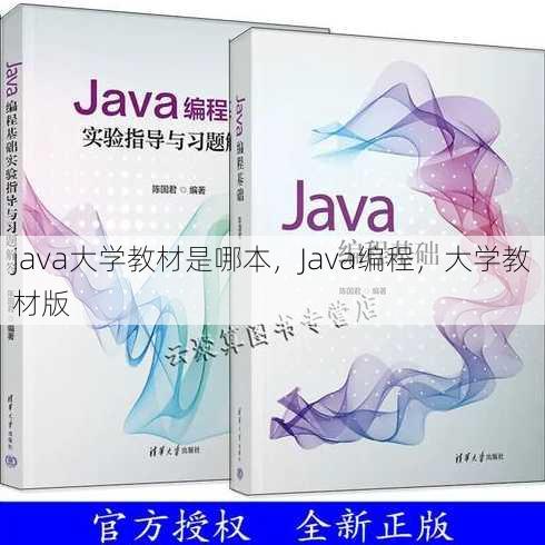 java大学教材是哪本