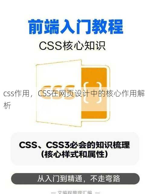 css作用