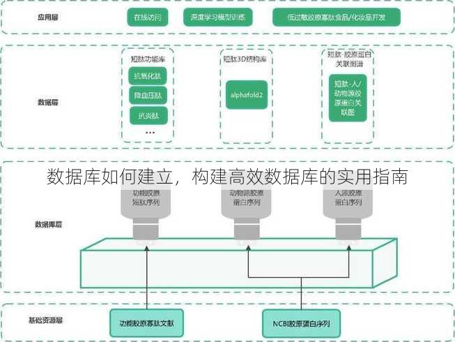 数据库如何建立