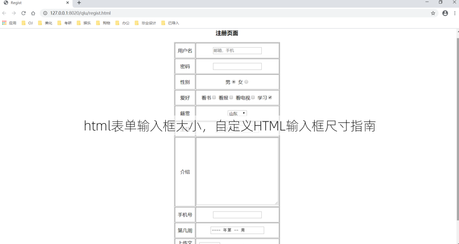 html表单输入框大小