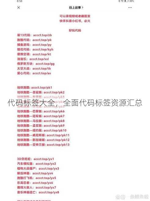 代码标签大全