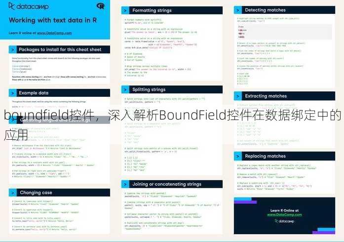 boundfield控件