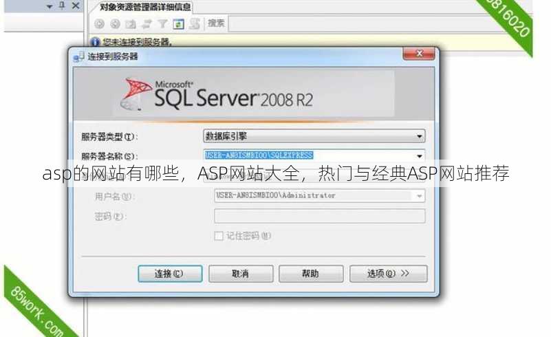 asp的网站有哪些