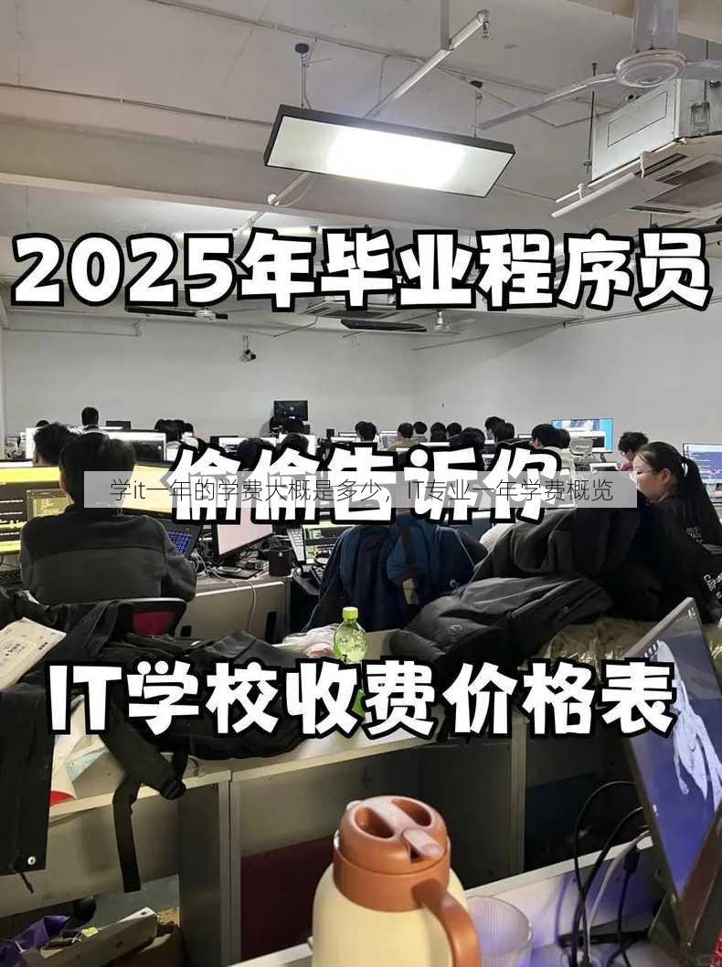 学it一年的学费大概是多少