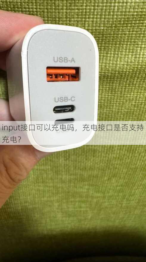 input接口可以充电吗