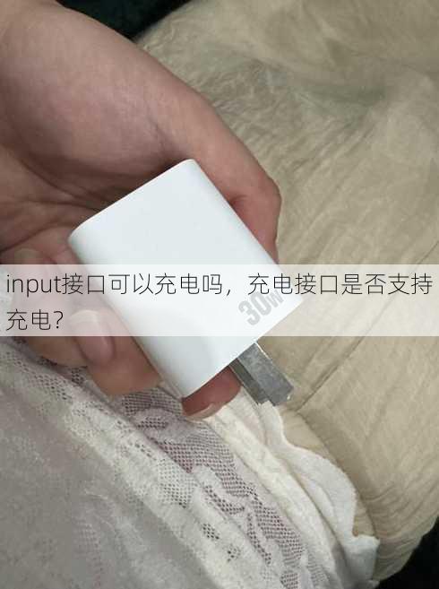 input接口可以充电吗