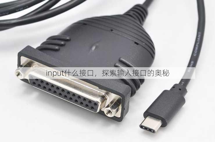 input什么接口