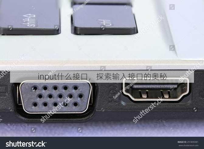 input什么接口