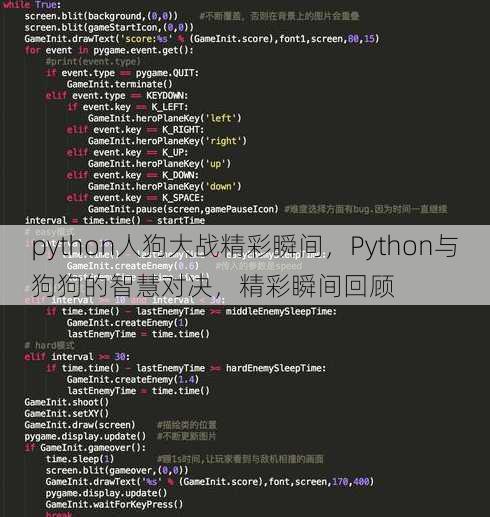 python人狗大战精彩瞬间