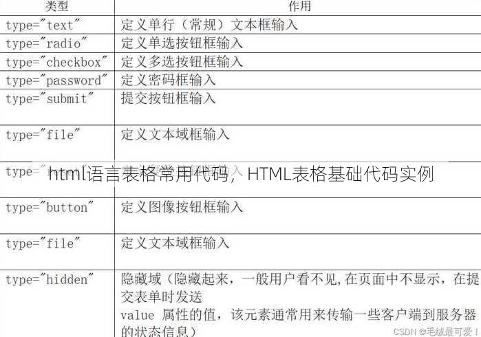 html语言表格常用代码