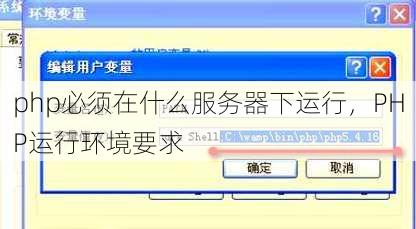 php必须在什么服务器下运行