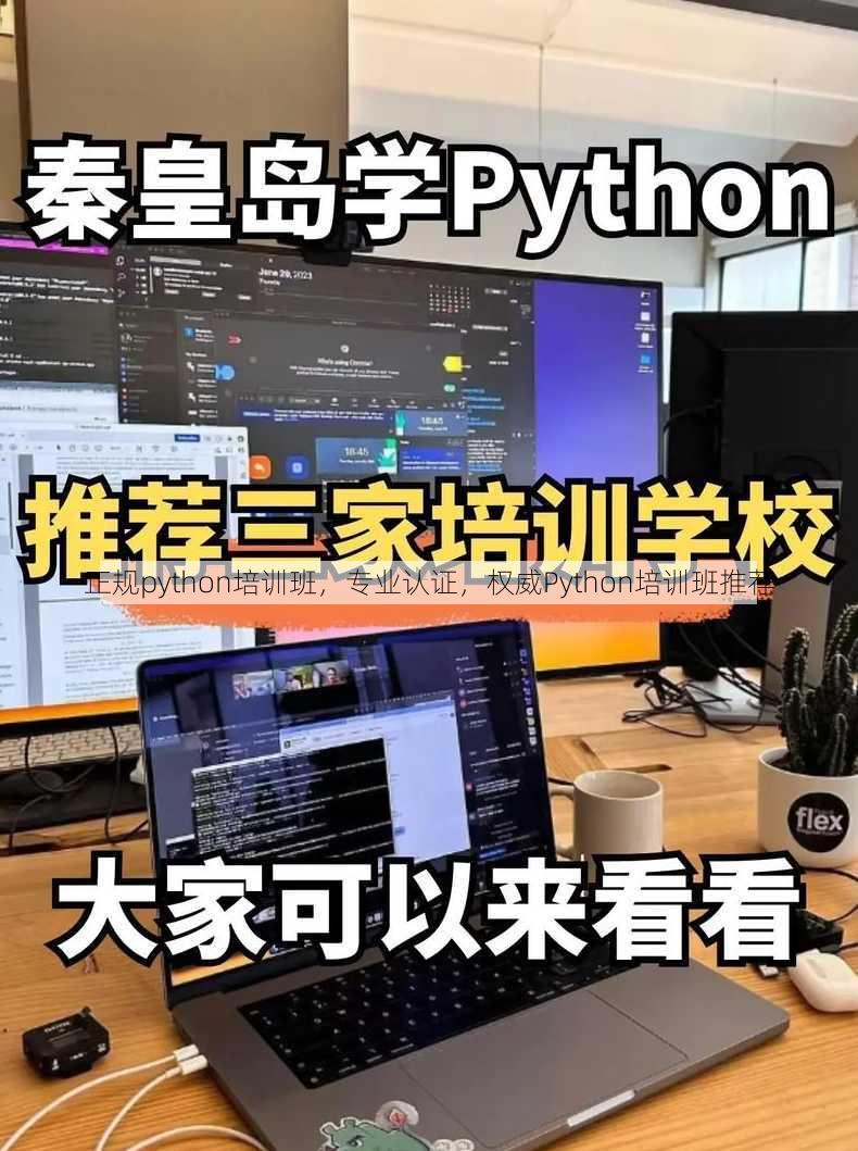正规python培训班