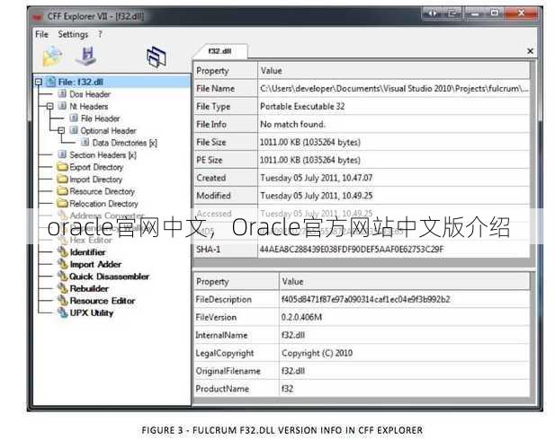 oracle官网中文