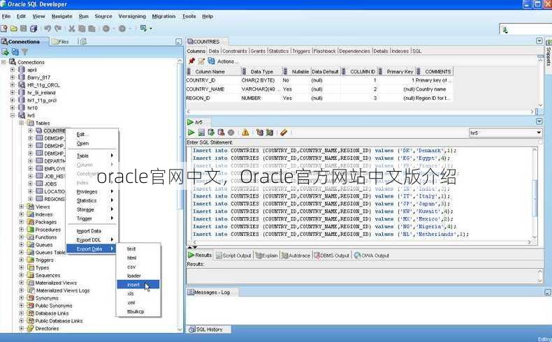 oracle官网中文